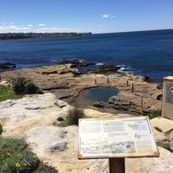 Ivor Rowe Rockpool - Glorious