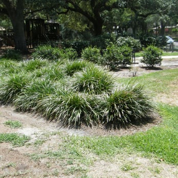 Park On Park - Parks Near Me - Sanford, Florida Park On Park - Parks Near Me - Sanford, Florida