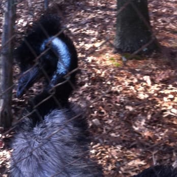 BWI Bike Trail - emu! - Parks Near Me - Linthicum Heights, Maryland BWI Bike Trail - emu! - Parks Near Me - Linthicum Heights, Maryland