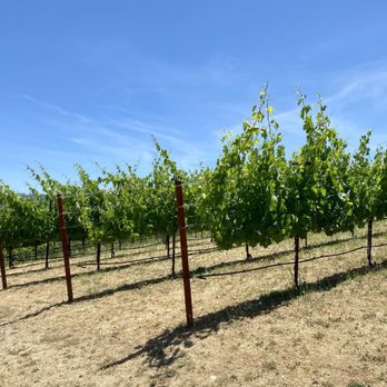 Pride Mountain Vineyards - Wineries Near Me - St. Helena, California