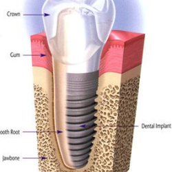 Pacific Dental Care & Orthodontics