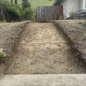 Apex Tree Care - Before walkway was laid down. Path created and stumps removed - Tree Services Near Me