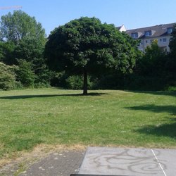 Spielplatz Kaiserpark - Lawn for resting.