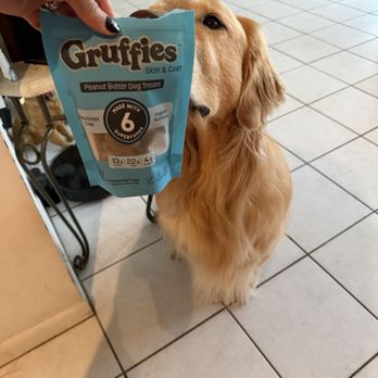 D is for DOG - Pet Groomers Near Me - West Palm Beach, Florida