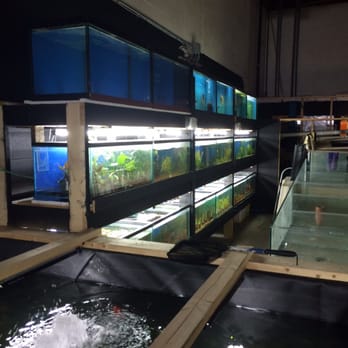 Fish Addicts - Pet Stores Near Me - Langley, British Columbia Fish Addicts - Pet Stores Near Me - Langley, British Columbia