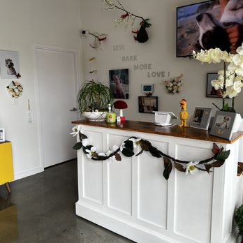 Lulu's Pet Spa - Our reception area, WELCOME:) - Pet Groomers Near Me - Davie, Florida
