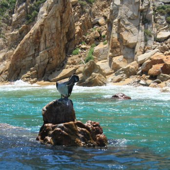 Envatours - Tours Near Me - Cabo San Lucas, BCS Envatours - Tours Near Me - Cabo San Lucas, BCS