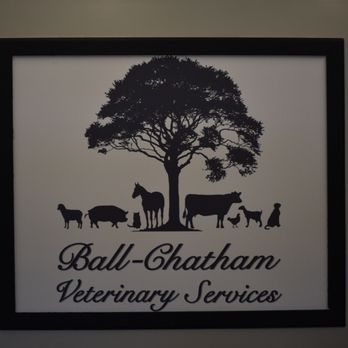 Ball Chatham Veterinary Services - Veterinarians Near Me - Pawnee, Illinois