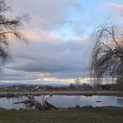 Dos Mariposas Vineyards & Lavender - Nice pond
