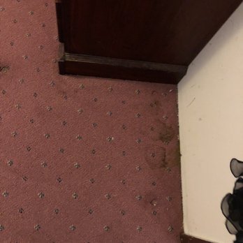 Refresh Carpet Cleaning -  Vancouver - This after Scott "cleaned" the carpets - Carpet Cleaning Near Me - Vancouver, British Columbia