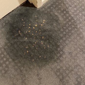 Spot Dye Wizard - Before: bleach stains - Carpet Dyeing Near Me Spot Dye Wizard - Before: bleach stains - Carpet Dyeing Near Me