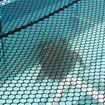 The Turtle Hospital - 1 year old loggerhead - he will be released when he's old enough! - Veterinarians Near Me - Marathon, Florida The Turtle Hospital - 1 year old loggerhead - he will be released when he's old enough! - Veterinarians Near Me - Marathon, Florida