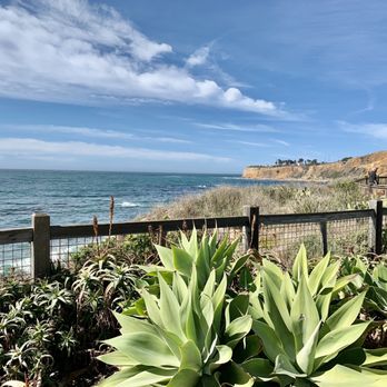 Nelson's - Seafood Near Me - Rancho Palos Verdes, California Nelson's - Seafood Near Me - Rancho Palos Verdes, California