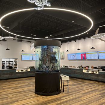 Shipwreck’d - Sales Floor - Cannabis Dispensaries Near Me - Neptune City, New Jersey Shipwreck’d - Sales Floor - Cannabis Dispensaries Near Me - Neptune City, New Jersey
