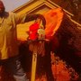 Photo of Shackleford Tree Service