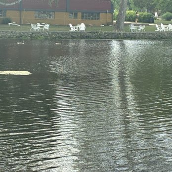 Gathering Grounds - Geese! - Coffee & Tea Near Me - Seekonk, Massachusetts Gathering Grounds - Geese! - Coffee & Tea Near Me - Seekonk, Massachusetts