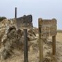 Photo of Trans-Catalina Trail