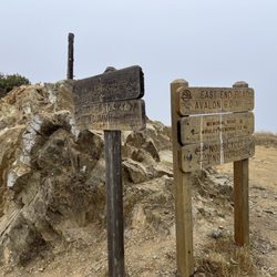Trans-Catalina Trail