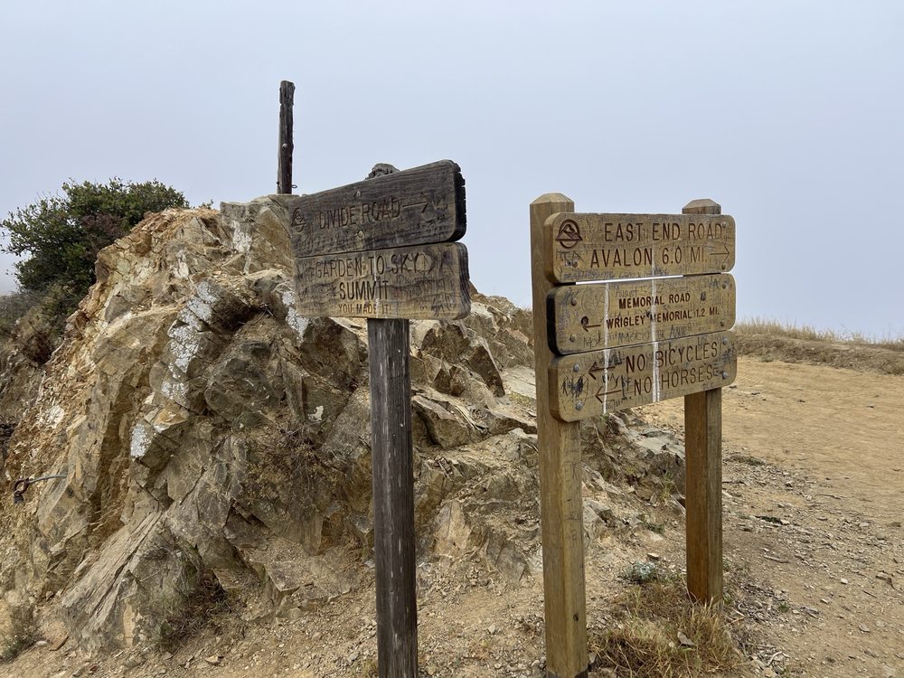 Trans-Catalina Trail Logo