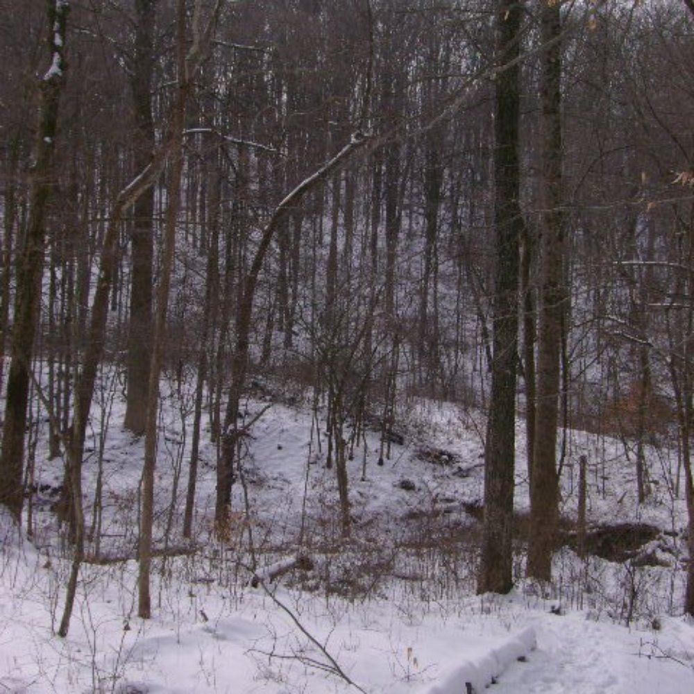 Brown County State Park - Hiking Near Me - Nashville, Indiana