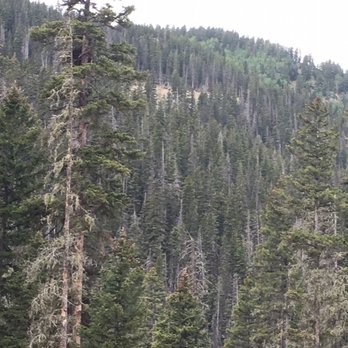 Taos Ski Valley - Taos Valley - Ski Resorts Near Me - Taos Ski Valley, New Mexico