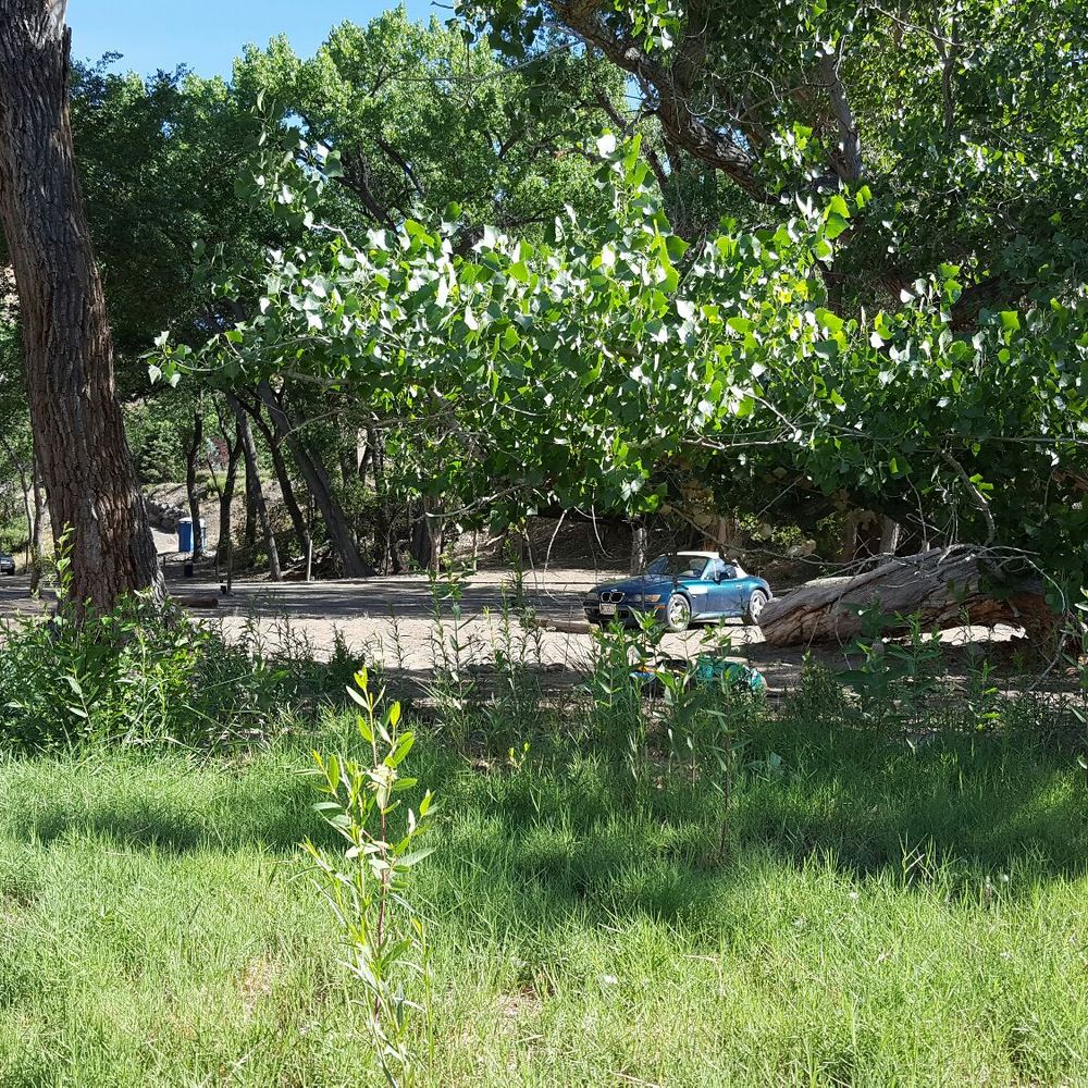 Palisade Basecamp RV Resort - Rive side tent sites - very nice! - RV Parks Near Me - Palisade, Colorado Palisade Basecamp RV Resort - Rive side tent sites - very nice! - RV Parks Near Me - Palisade, Colorado