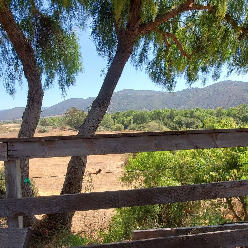 Hitching Post Wines - Views - Wine Tasting Room Near Me - Buellton, California Hitching Post Wines - Views - Wine Tasting Room Near Me - Buellton, California