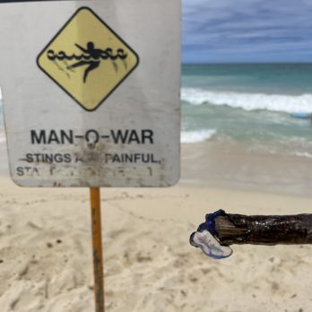 Sherwoods Beach - Warning signs! - Beaches Near Me - Waimanalo, Hawaii Sherwoods Beach - Warning signs! - Beaches Near Me - Waimanalo, Hawaii