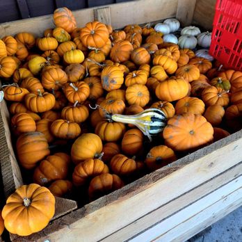 MacQueen's Orchard - Bakeries Near Me - Holland, Ohio