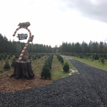 Carroll's Country Christmas Trees - Christmas Trees Near Me - Veneta, Oregon