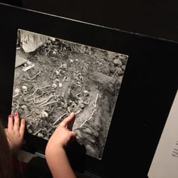 Stockholms Medeltidsmuseum
