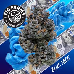 Blue face 20% off Too shelf Thursdays