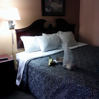 Days Inn by Wyndham Benton - Hotels Near Me - Benton, Arkansas Days Inn by Wyndham Benton - Hotels Near Me - Benton, Arkansas