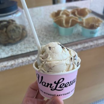 Van Leeuwen Ice Cream - Brown sugar cookie dough chunk - Ice Cream & Frozen Yogurt Near Me - Chestnut Hill, Massachusetts Van Leeuwen Ice Cream - Brown sugar cookie dough chunk - Ice Cream & Frozen Yogurt Near Me - Chestnut Hill, Massachusetts