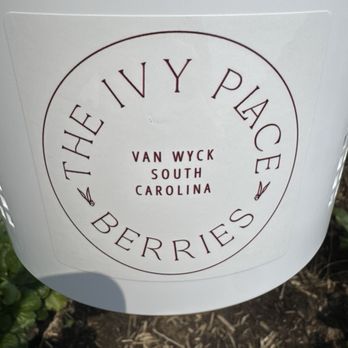 The Ivy Place- Berry Farm - Picking bucket - Pick Your Own Farms Near Me - Lancaster, South Carolina The Ivy Place- Berry Farm - Picking bucket - Pick Your Own Farms Near Me - Lancaster, South Carolina
