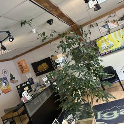 IgadI Idaho Springs - Treats