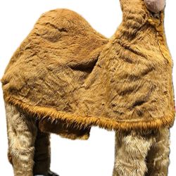 Cargo Costume - Camel walkabout costume