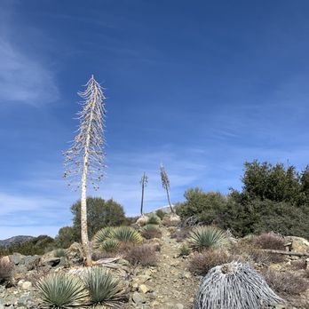 Sunset Peak Hike - Shortcut! - Hiking Near Me - Mount Baldy, California Sunset Peak Hike - Shortcut! - Hiking Near Me - Mount Baldy, California