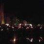 Photo of Woodford festival