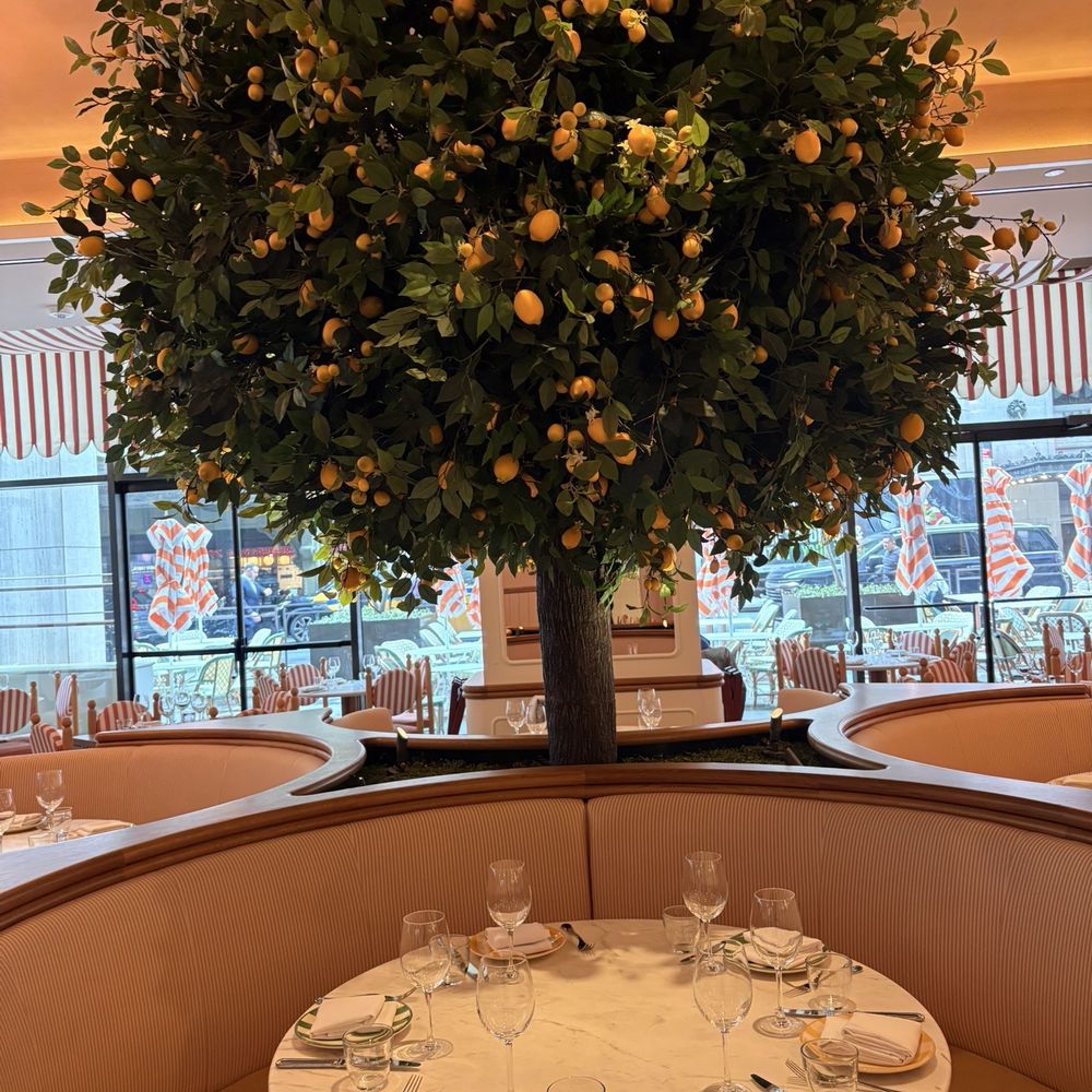 Giulietta - Lemon tree - Italian Near Me - New York, New York Giulietta - Lemon tree - Italian Near Me - New York, New York