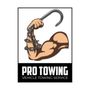 Photo of Pro Towing DMV