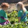 Photo of Mother Earth's Children Preschool