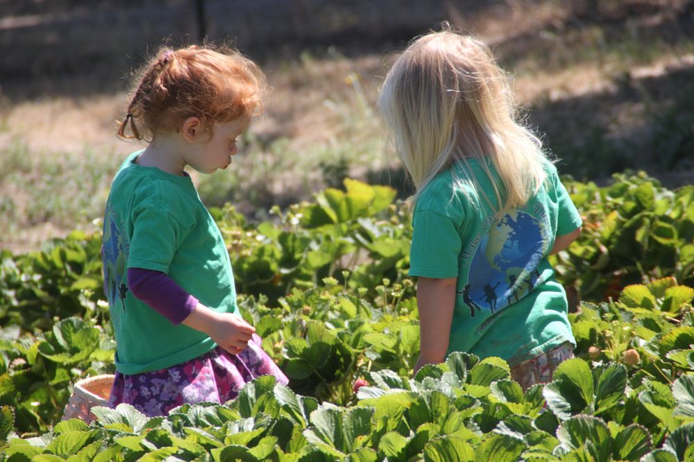 Mother Earth's Children Preschool - childcare center in Windsor, CA