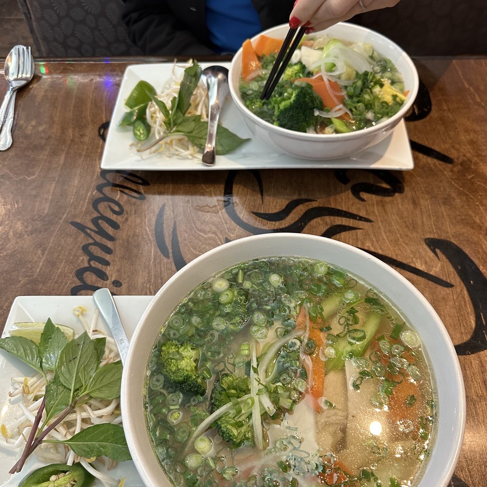 Chicken and vegetable pho. Chicken and vegetable pho.