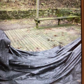 Lumos Real Estate - Dog poop covering backyard because neighbor refuses to clean it up - Property Management Near Me - Pittsburgh, Pennsylvania Lumos Real Estate - Dog poop covering backyard because neighbor refuses to clean it up - Property Management Near Me - Pittsburgh, Pennsylvania