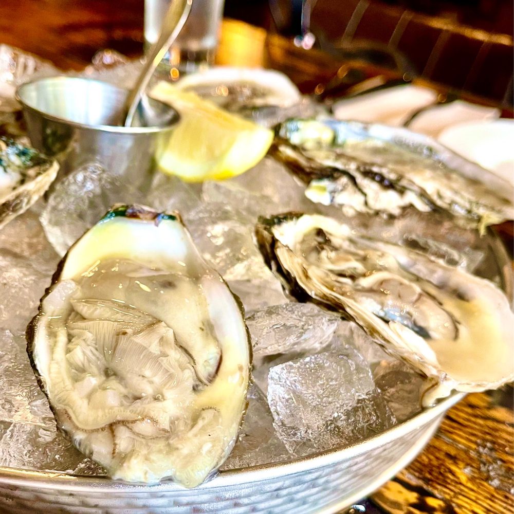 a platter of oysters on ice a platter of oysters on ice