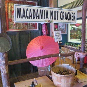 Hamakua Macadamia Nut - This is where your kids can have fun cracking the hard outer shell to get to the macadamia nut. - Specialty Food Near Me - Kawaihae, Hawaii