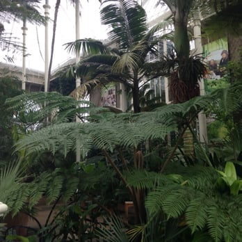 Royal Botanic Garden Edinburgh - Botanical Gardens Near Me - Edinburgh, EDH