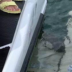 Lake Shores Watercraft & Boat Rentals