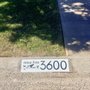 Photo of Sac Curb Painting